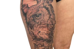 sowa-tatuaz-na-noge