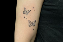 motyl-maly-delikatny-ramie