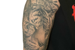 tatuaz-tygrysa-na-ramieniu