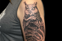 tatuaz-sowy-z-cma-wykonany-na-ramieniu-wedlug-wlasnego-projektu-w-stylu-sketch