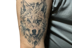 tatuaz-wilka-wykonany-na-ramieniu-w-stylu-sketch