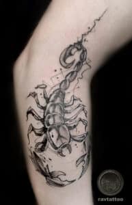 tatuaż na nodze skorpion tarchomin