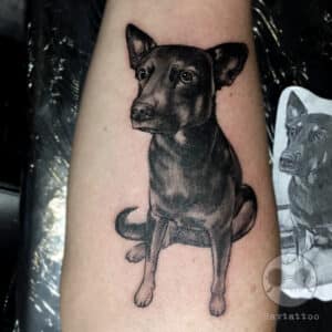tatuaż pies legionowo