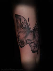 tatuaż motyl tygrys